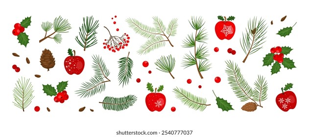 Cone de pinho de Natal, árvore, madeira de inverno, abeto, visco, baga de azevinho, ramo de folha, maçã, abeto de Natal, galho de agulha, decoração evergreen isolado no fundo branco. Ilustração do vetor da natureza do feriado