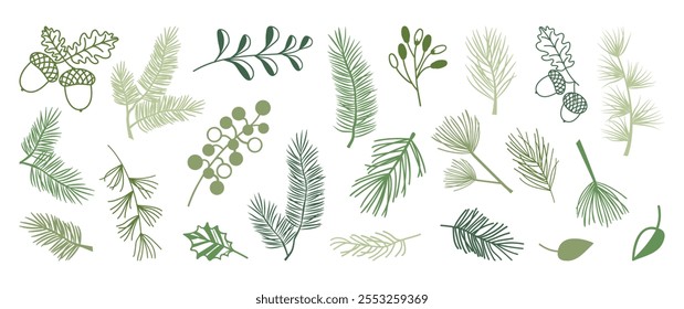 Christmas pine and fir branch, winter leaf spruce and tree, evergreen needle plant, berry, acorn, green cedar twig, Xmas wood, holiday decoration line art. New Year hand drawn vector  illustration