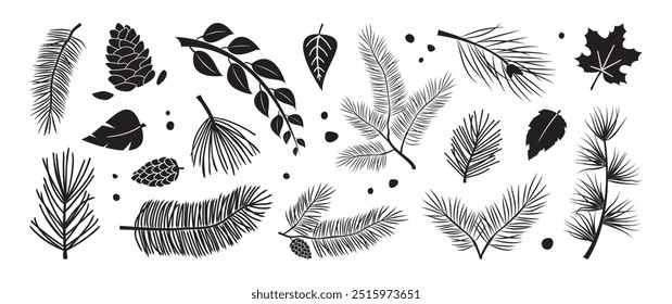 Christmas pine and fir, winter or autumn leaves spruce and branch tree, evergreen plant, cedar twig  icon, Xmas wood, black holiday decoration. New Year hand drawn element set. Vector illustration