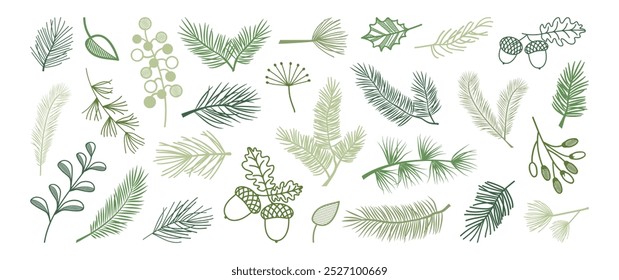 Christmas pine and fir, winter leaf spruce and branch tree, evergreen plant, berry, acorn, green cedar twig icon, Xmas wood, holiday decoration line art. New Year hand drawn vector  illustration