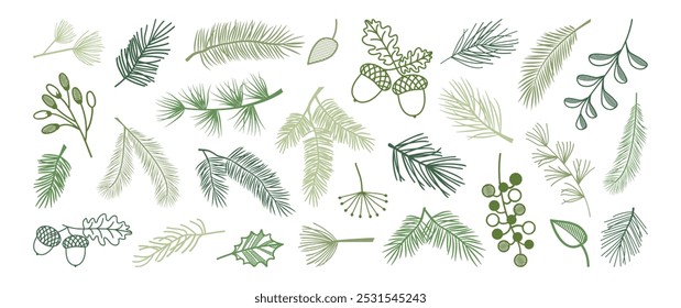 Christmas pine and fir, winter leaf spruce and branch tree, evergreen plant, berry, acorn, green cedar twig icon, Xmas wood, holiday decoration line art. New Year hand drawn vector illustration