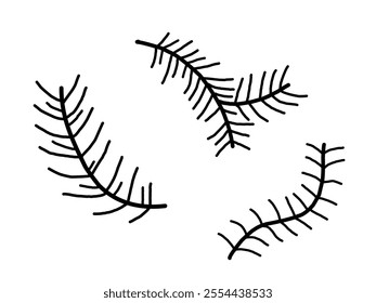 Christmas pine leaf, branch spruce and fir, evergreen vector icon, winter tree, green plant. mistletoe isolated on white background. Cartoon holiday nature illustration