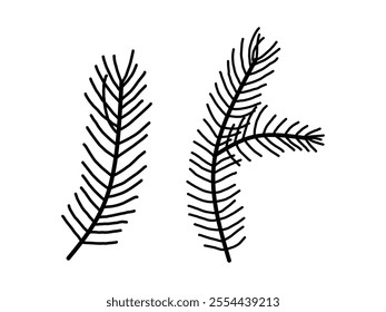 Christmas pine leaf, branch spruce and fir, evergreen vector icon, winter tree, green plant. mistletoe isolated on white background. Cartoon holiday nature illustration