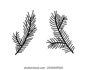 Christmas pine leaf, branch spruce and fir, evergreen vector icon, winter tree, green plant. mistletoe isolated on white background. Cartoon holiday nature illustration
