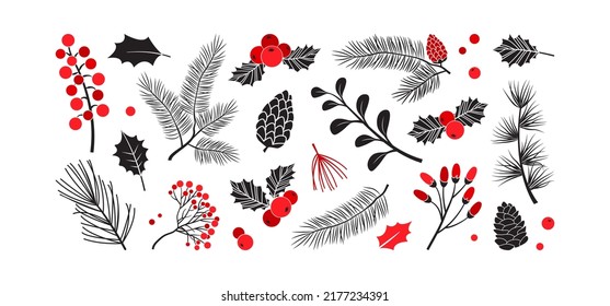 Pino y planta navideños, bayas y piñones, árboles de navidad y ramas de hojas, decoración vectorial de vacaciones, símbolos de invierno. Colores rojo y negro. Ilustración de la naturaleza vintage