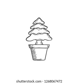 christmas pine tree vector illustration