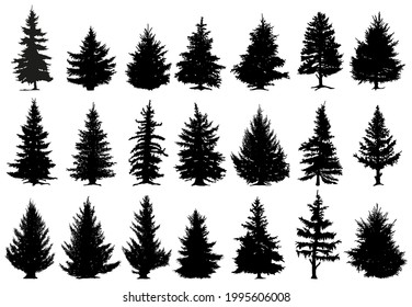 Christmas pine trees silhouettes. Coniferous forest monochrome woods, fir trees silhouettes vector set