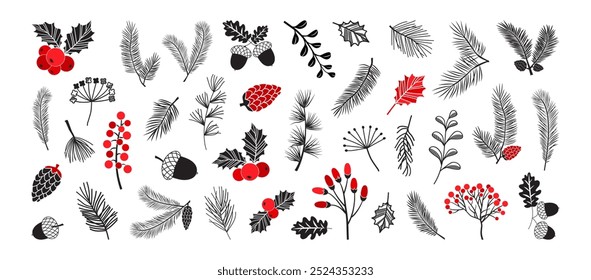 Weihnachtspflanze, Tanne, Kiefernzapfen, Holly Beere, Blatt, Baum, immergrüner Frühling, Winterdekor, Weihnachten botanisch gezeichnet Set einzeln auf weißem Hintergrund. Rot und schwarz. Vektorgrafik der Feiertage-Natur