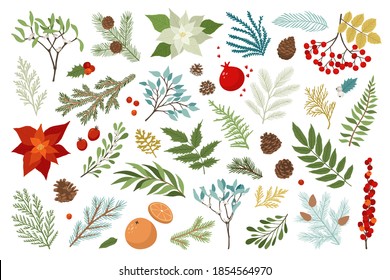 Christmas plant and floral vector set include poinsettia, holly berries, mistletoe, pine and fir branches, cones, rowan berries. Xmas and happy new year design template. Holiday drawing elements.