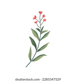 Christmas plant green tree branch and dark pink berries for home decor