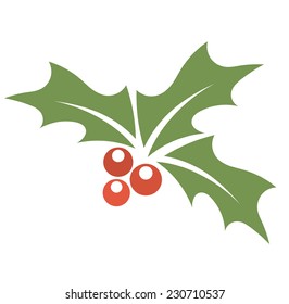 Christmas plant holly berry. Vector illustration 