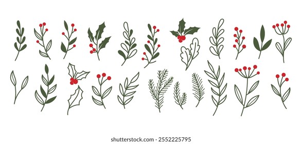 Conjunto de folhas de planta de Natal. Desenho desenhado à mão esboço floral, folhas de árvore de Natal, ilustração vetorial