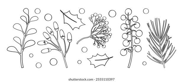 Christmas plant line icon, holly berry, winter tree, ilex, leaf. Holiday decor, autumn sprig, Xmas twig. Black silhouette set outline design isolated on white background. Vintage vector illustration