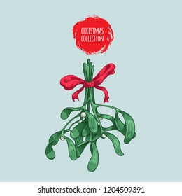 Christmas plant mistletoe. Sketch style hand drawn drawing. Colorful vector illustration. Winter holidays decoration symbol. Isolated on light blue background.