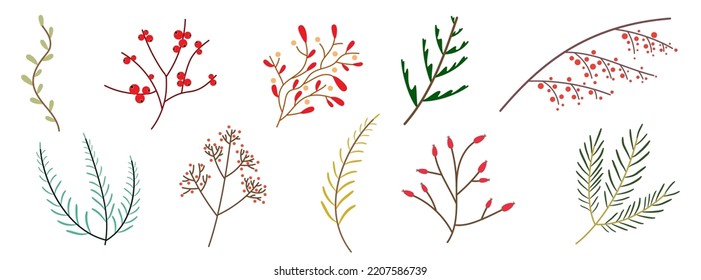 Christmas plant set. Colored branches with leaves. Set of branches. Cute decorative elements. Vector illustration.