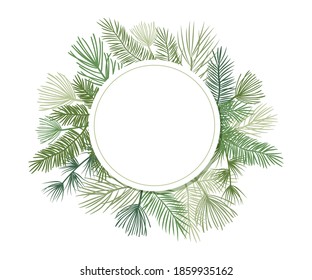 Christmas plant vector circle border with fir and pine branches, evergreen wreath and corners frames. Round nature vintage card, foliage illustration