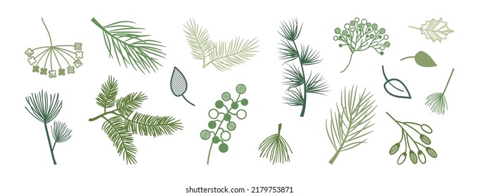 Vector de planta navideña, hoja y rama de invierno, baya de Navidad, elemento floral, icono de abeto y pino, siluetas de línea verde. Naturaleza vintage dibujada a mano, conjunto botánico siempre verde. Ilustración de decoro