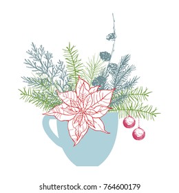 Christmas plants in cup. Vector hand-drawn illustration.
