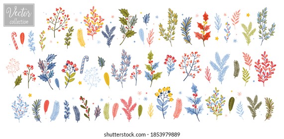 Christmas plants drawn in doodle style. Vintage, Branches of Christmas trees, berries, mistletoe and other plants.