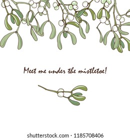 Christmas plants, mistletoe branches on white background, vector illustration