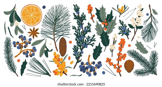 Plantas de Navidad: naranja, mistletoe, pino, abeto, mahonia, holly, espinas marinas, anís, rojo ítex, enebro, agujas picantes, coníferas, nevada.