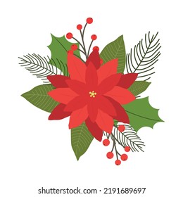 Christmas plants. Poinsettia and ilex leaves. Red berries and spruce branches. Christmas composition for advertisement or card. 