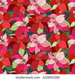 Christmas plants, poinsettia Christmas star, seamless vector illustration