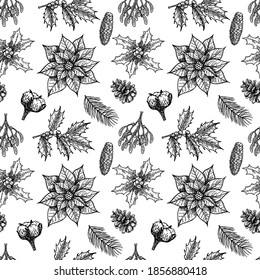 Christmas plants seamless pattern. With vintage winter flowers, evergreen, conifers plants. Vector design with hand drawn botanical elements. For wrapping paper, greeting cards, banners, packaging.