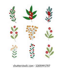 Plantas navideñas ambientadas, ramas decorativas con hojas, bayas rojas para decoración casera, arreglos festivos, ilustración vectorial para tarjeta de saludo de temporada, invitación, cartel