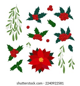 Christmas plants set holly, poinsettia flower, mistletoe, green leaves, berries clipart for home decor, festive holiday ornament, vector illustration for seasonal greeting card, invitation, poster