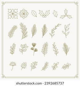 Christmas plants vector illustration drawn with gold lines.