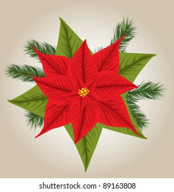 Christmas Poinsettia