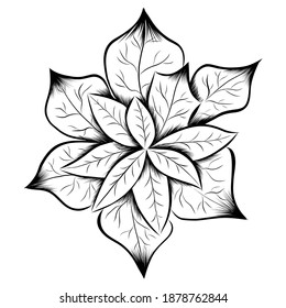 Christmas poinsettia flower hand drawn illustration vector illustration isolated on white background. Poinsettia leaves silhouette christmas decoration.