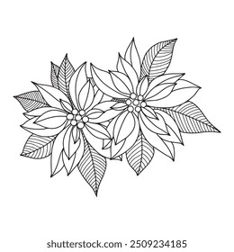 Christmas poinsettia flowers hand drawn illustration. Design element for greeting card, invitaton or festive banner. Vector illustration in doodle style isolated on transparent background