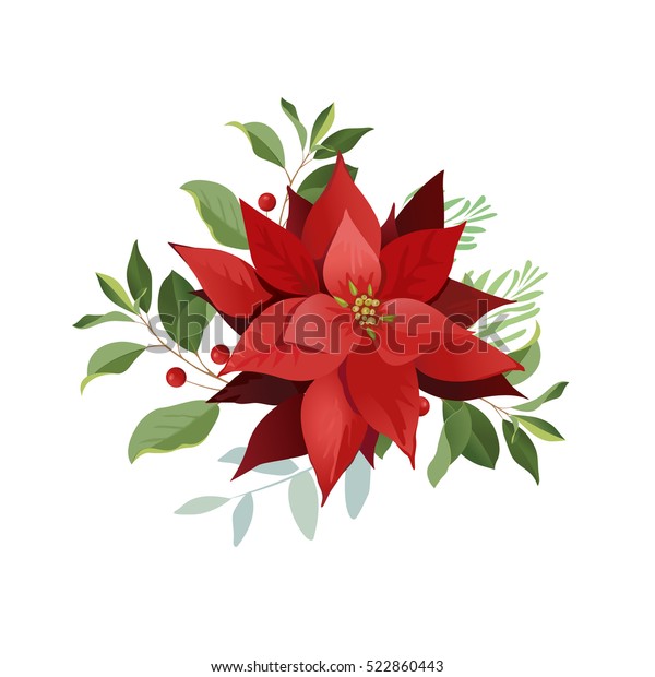 赤い葉の背景にクリスマスのポインセチアの花 のベクター画像素材 ロイヤリティフリー
