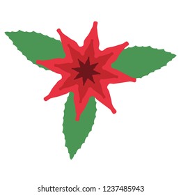 Christmas Poinsettia - vector with transparent background