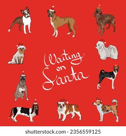 Christmas postcard with dogs in Santa hats. Creative Happy Christmas Card for puppy lovers, red background. Winter, Holiday character. Boxer, bulldog, basenji, basset hound. Waiting on Santa text.