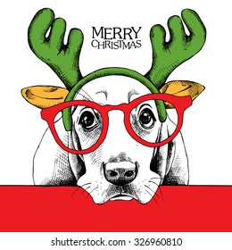 Christmas Poster Of A Dog Basset Hound Portrait In Mask Santa's Antler Reindeer And Glasses. Vector Illustration.