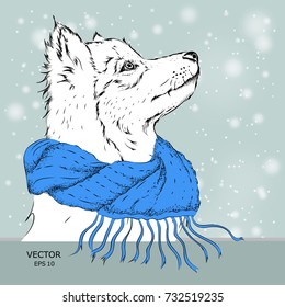 Christmas poster with a dog portrait in winter scarf. Vector illustration.