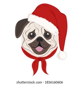 Christmas poster featuring a portrait of a dog wearing a Santa hat. Pug. Isolated vector illustration.