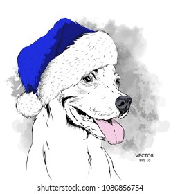The christmas poster with the image dog portrait in Santa's hat. Hand draw vector illustration.