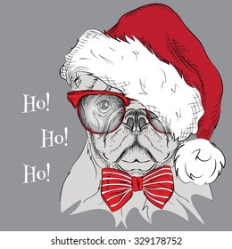 The christmas poster with the image dog portrait in Santa's hat. Vector illustration.