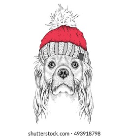 The christmas poster with the image dog portrait in winter hat. Vector illustration.