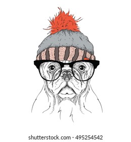 The christmas poster with the image dog portrait in winter hat. Vector illustration.