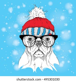 The christmas poster with the image dog portrait in winter hat. Vector illustration.