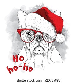 The christmas poster with the image dog portrait in Santa's hat. Vector illustration.