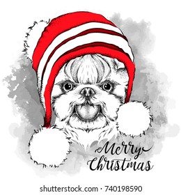 The christmas poster with the image dog portrait in winter hat. Vector illustration.