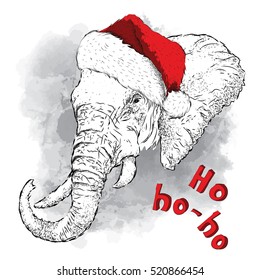 124 Elephant with santa cap Images, Stock Photos & Vectors | Shutterstock