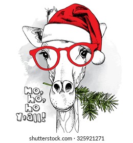 Christmas poster with image a giraffe portrait in Santa's hat and glasses with pine branch. Vector illustration.