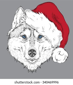 The christmas poster with the image husky portrait in Santa's hat. Hand draw vector illustration.